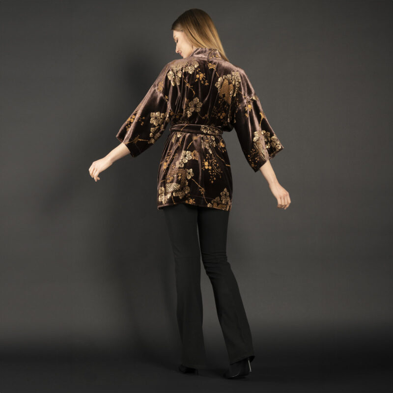 Fortuny Isabel | Printed velvet Kimono Coat